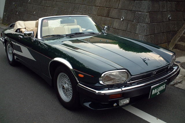 ジャガー アーデン